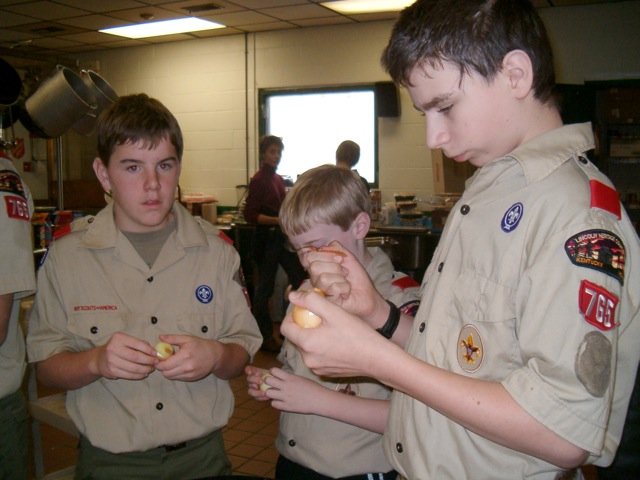 scouts_spiders_110