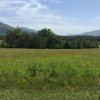 6-26_Cades_Cove1